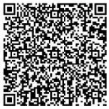 Trinity-Paradise-P51700020667